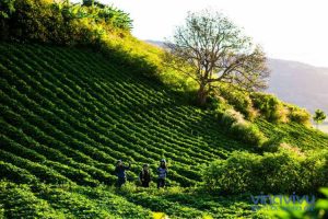 [Đắk Nông] Top những địa điểm nhất định phải ghé thăm khi đến Đắk Nông