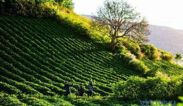 [Đắk Nông] Top những địa điểm nhất định phải ghé thăm khi đến Đắk Nông