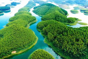 [Gia Lai] Những điểm đến nổi tiếng nên ghé tham khi đến với Gia Lai