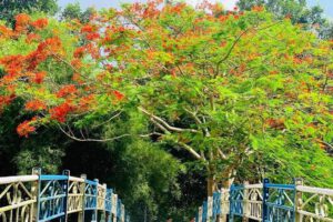 [Tây Ninh] Top những điểm đến nổi tiếng độc đáo tại Tây Ninh