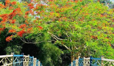 [Tây Ninh] Top những điểm đến nổi tiếng độc đáo tại Tây Ninh