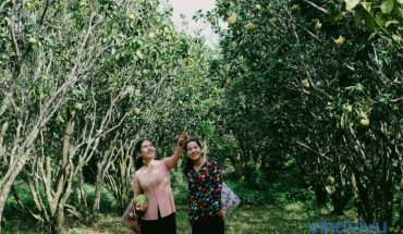 [Tiền Giang] Top những địa điểm ăn chơi thú vị tại Tiền Giang