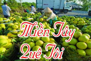 [Long An] Kinh nghiệm du lịch Long An tự túc từ A-Z, đi đâu, chơi gì, ở đâu ?