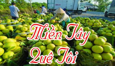 [Long An] Kinh nghiệm du lịch Long An tự túc từ A-Z, đi đâu, chơi gì, ở đâu ?