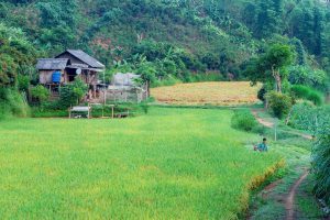 [Sơn La] Những địa điểm du lịch không được bỏ qua tại Sơn La