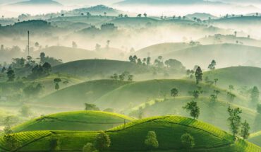 [Phú Thọ] Tất tần tật những đặc sản nhất định phải thử khi đến Phú Thọ