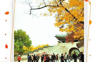 Cung điện Gyeongbok điểm đến nổi bật Hàn Quốc