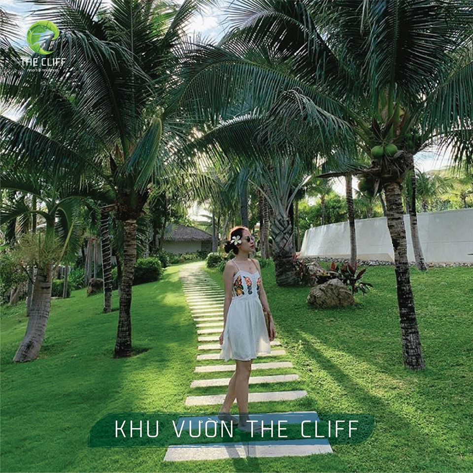 Combo du lịch Mũi Né The Cliff Resort 3N2Đ