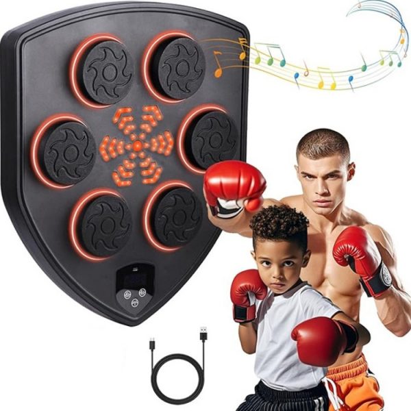 Máy đấm Boxing theo nhạc cao cấp FL0073